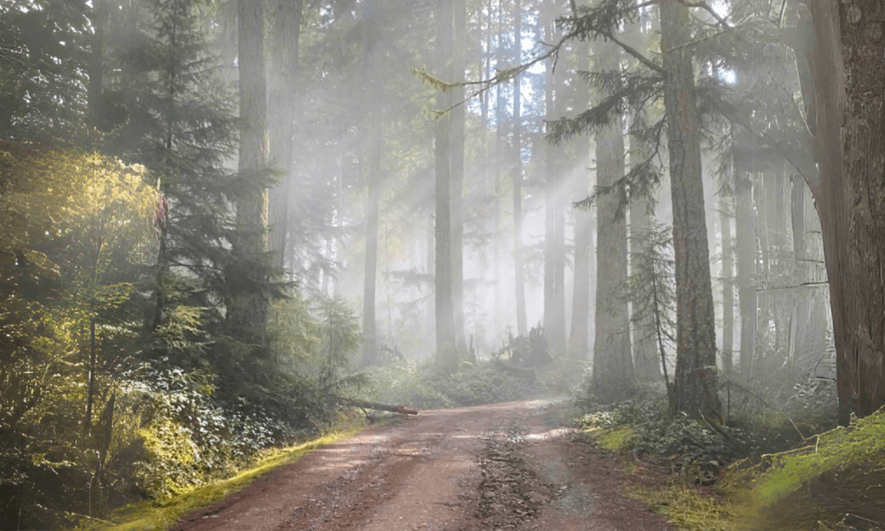 how-a-magical-island-inspired-my-paranormal-romance-series